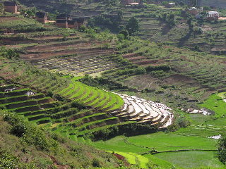 Terraced Rice Fields and Village